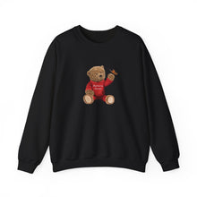 Load image into Gallery viewer, Cozy Teddy Sweatshirt
